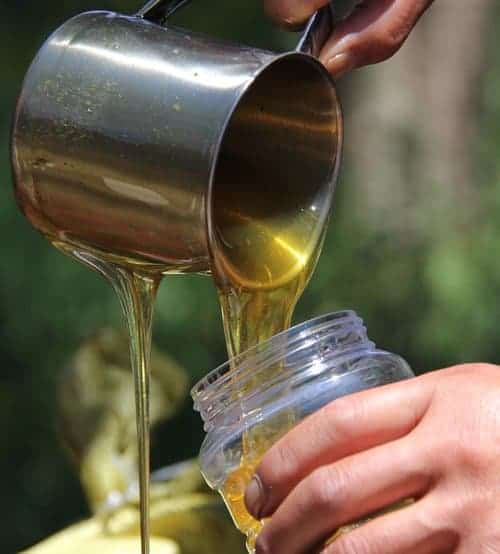 raw honey a perfect food Carolina Honeybees