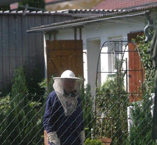 person dressed in beekeeper veil near a beehive