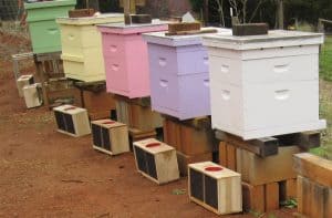 Pastel beehives. Learn how to paint beehives in any colors you want.