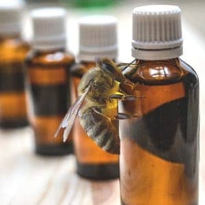 Honey bees on bottle of essential oil being used for varroa mite control image.