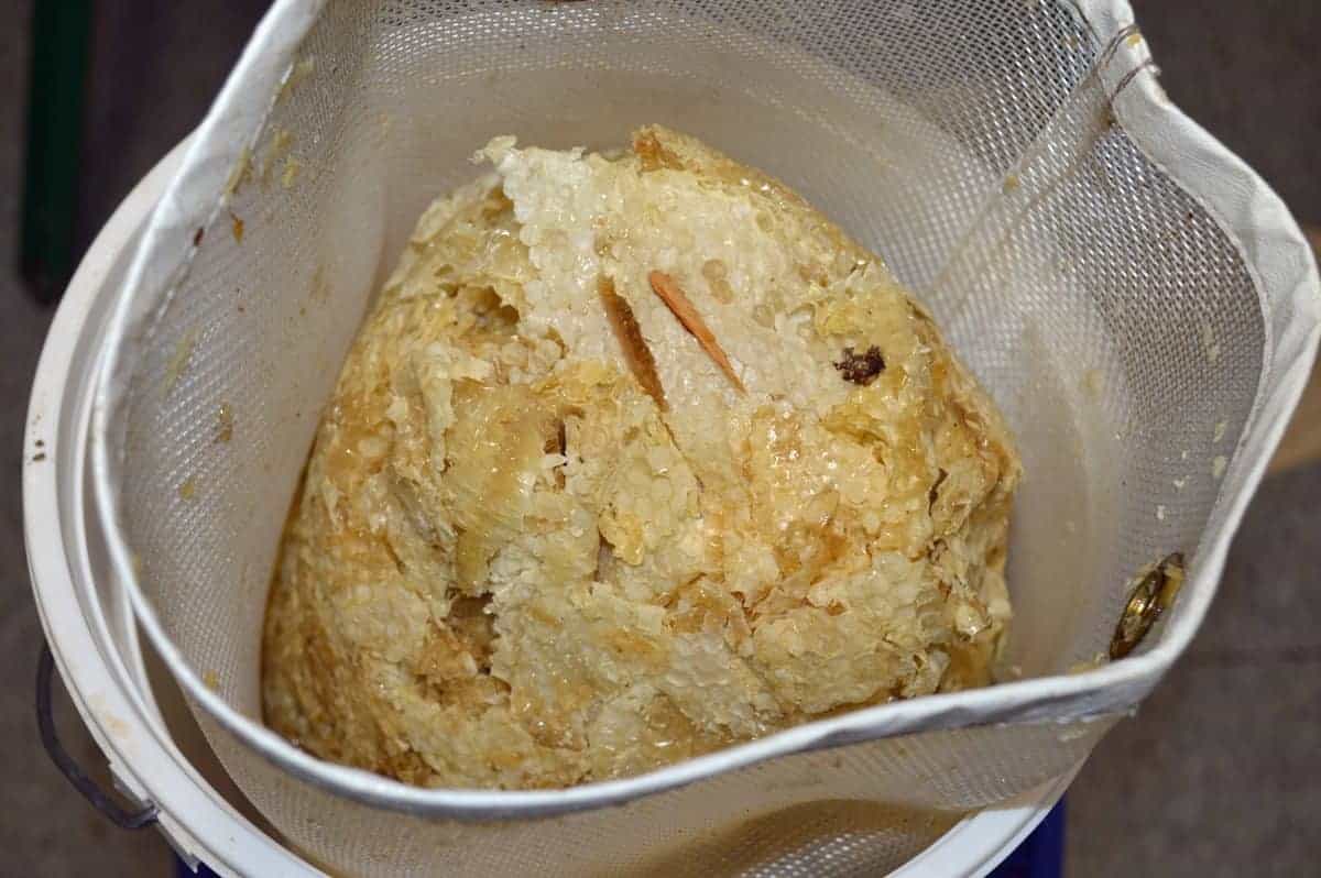 Raw beeswax cappings inside a strainer bag to drain honey before cleaning beeswax cappings
