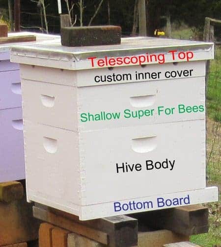 Langstroth beehive with basic parts of a beehive marked - bottom board, hive body, shallow super, inner cover, top image.