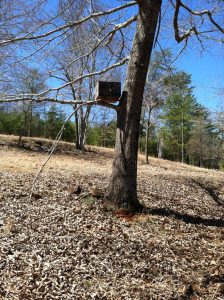 Attracting honey bee swarms to swarm traps or bait hives can be a profitable undertaking. Bee swarms are a natural occurrence and a way to add more beehives to your apiary.