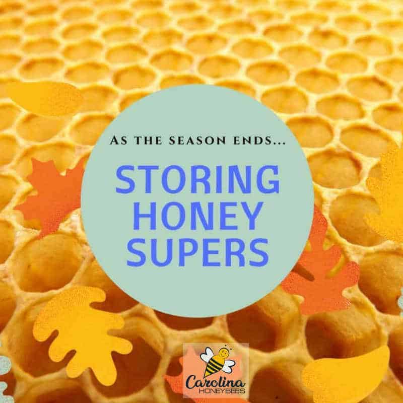 Storing Honey Supers Over Winter, Where and How Carolina Honeybees