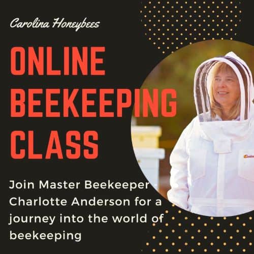 online beekeeping class