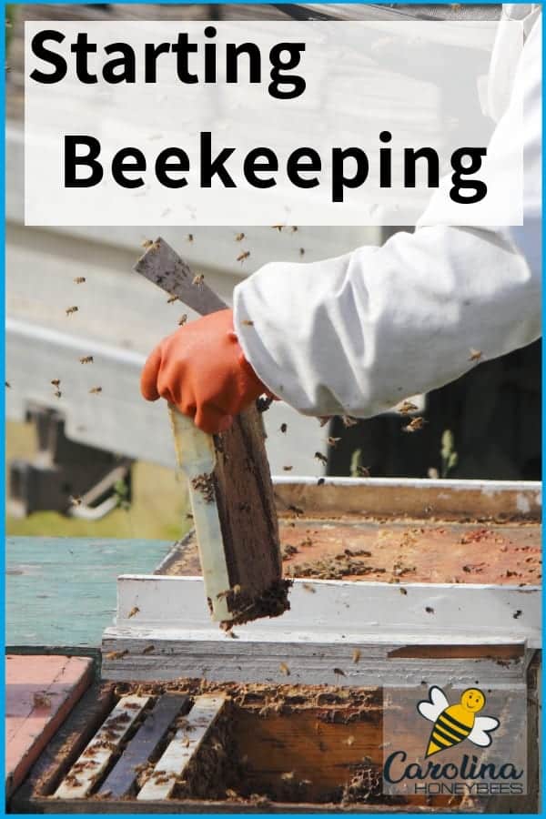 Starting Beekeeping- Are You Ready For A Hive? - Carolina Honeybees