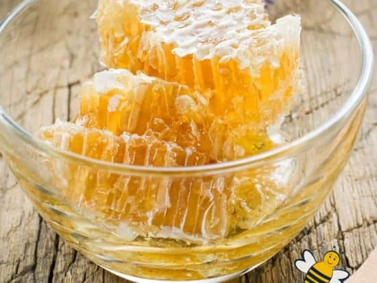 Is Honeycomb Edible Is It Safe To Eat Beeswax Carolina Honeybees