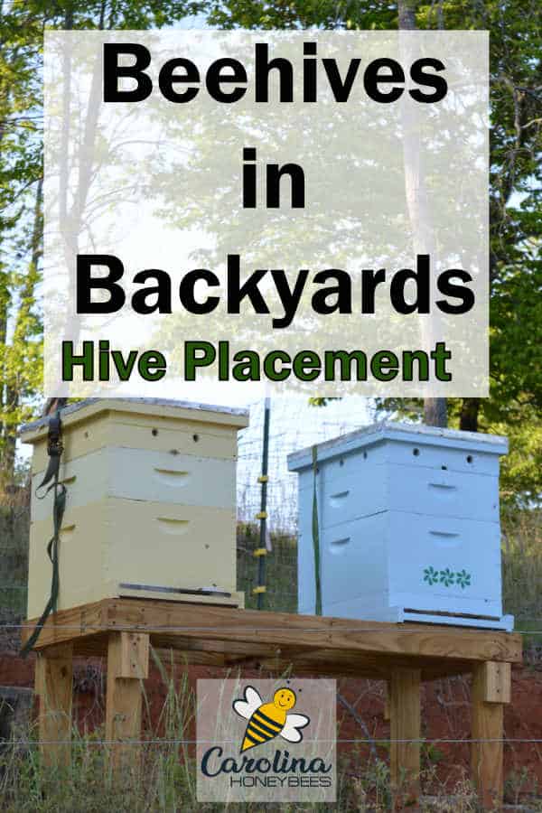 colorful beehives on backyard stand - beehives in backyards, hive placement