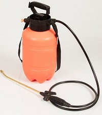 How to Make Your Own Bee Spray