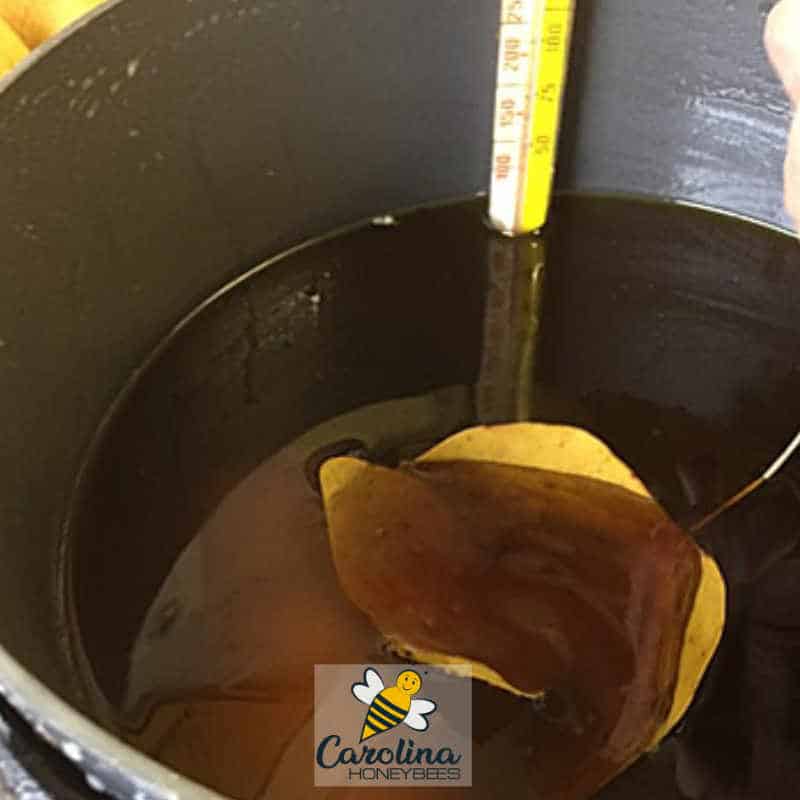 Preserving leaves with a beeswax dip