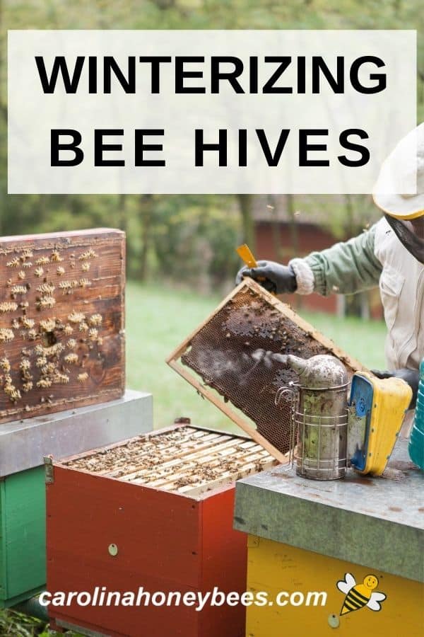 How to Winterize a Beehive {Step by Step} Carolina Honeybees