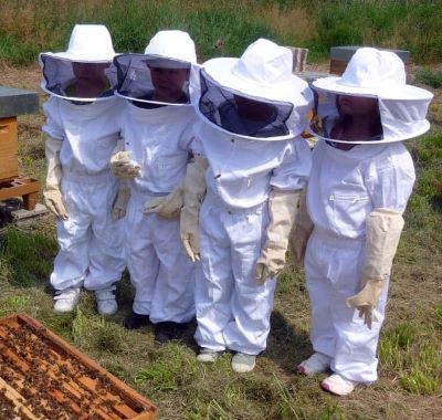 Beekeepers In White Protective Suit Holding Bees And Beeswax In