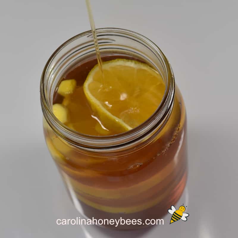 Infusing Honey with Lemon and Ginger Carolina Honeybees