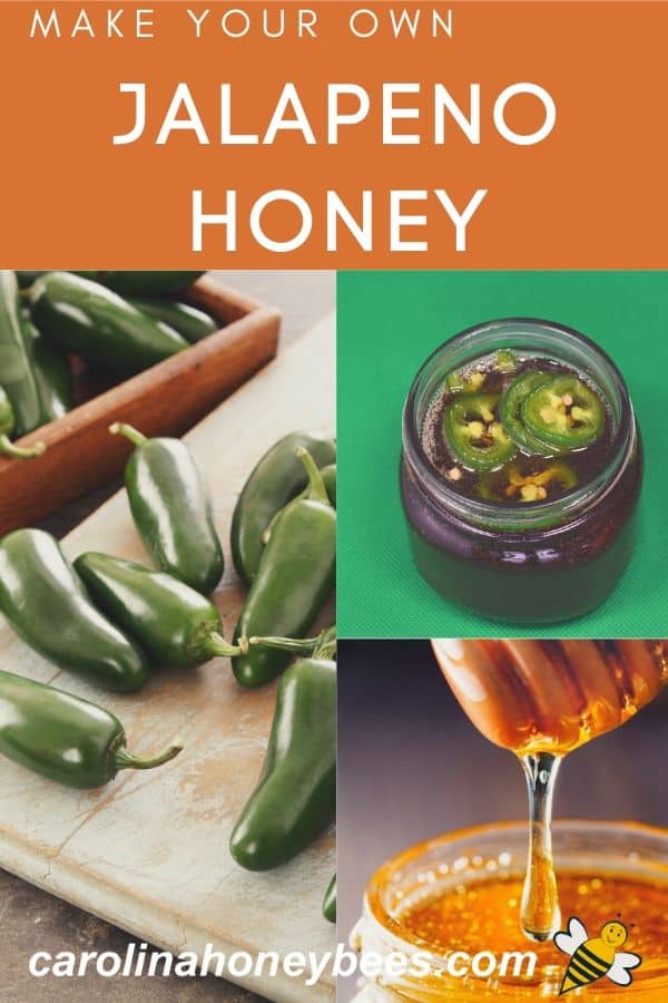 Jalapeno Hot Honey Recipe Hot or Warm! Carolina Honeybees