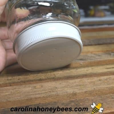 Mason jar used as sugar water jar feeder for bees with holes in lid.