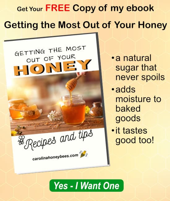 free honey ebook and recipes image.