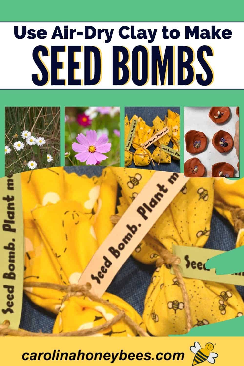How to Make Seed Bombs (Air Dry Clay) Carolina Honeybees