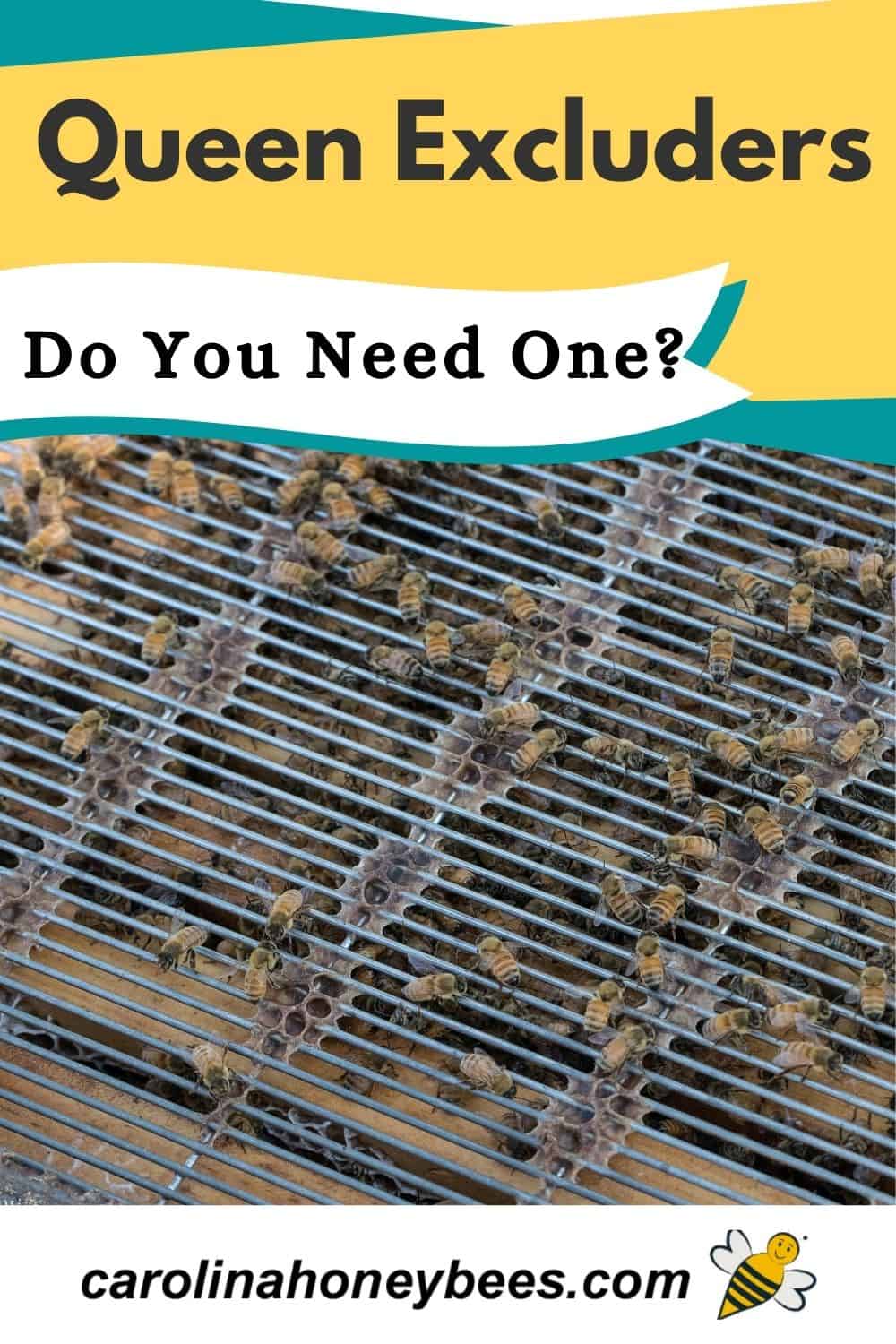 Queen Excluder Should You Use One? Carolina Honeybees