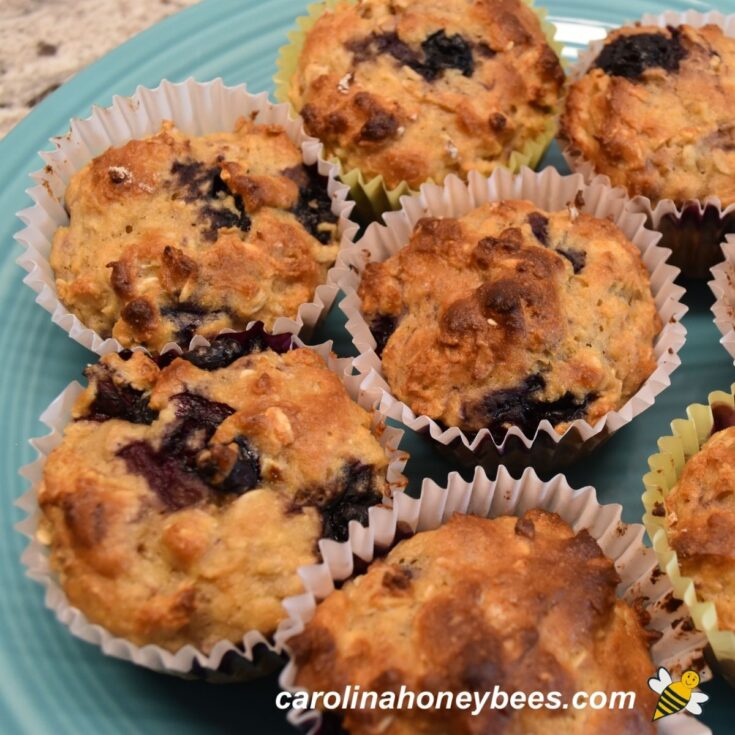 Honey Blueberry Muffins Recipe Carolina Honeybees