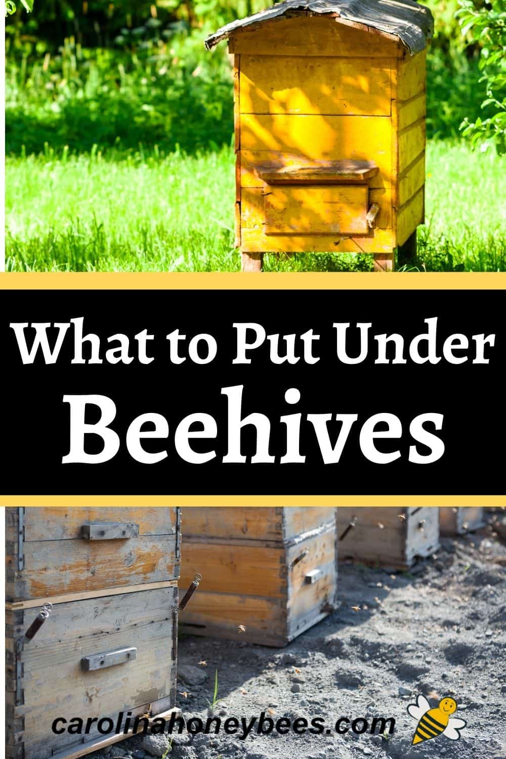 What Should You Put Under Beehives? Carolina Honeybees