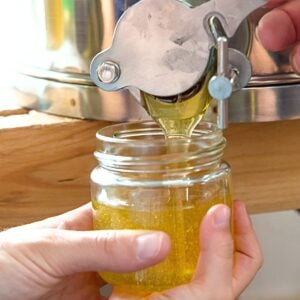 Bottling a small jar of honey from extractor.