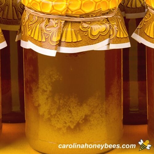 Best Way to Store Honey Before and After Opening Carolina Honeybees