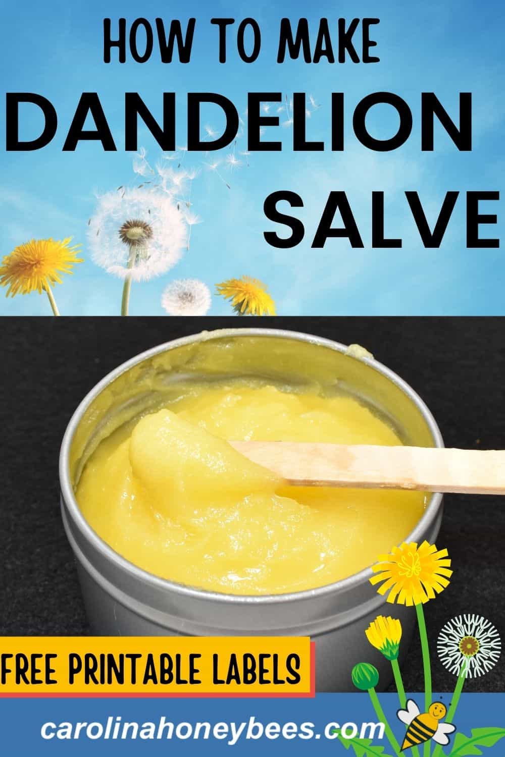 How to Make Dandelion Salve: Step by Step- Carolina Honeybees