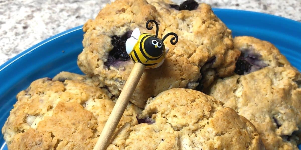 Homemade honey blueberry scones on a blue plate with bee dipper image.