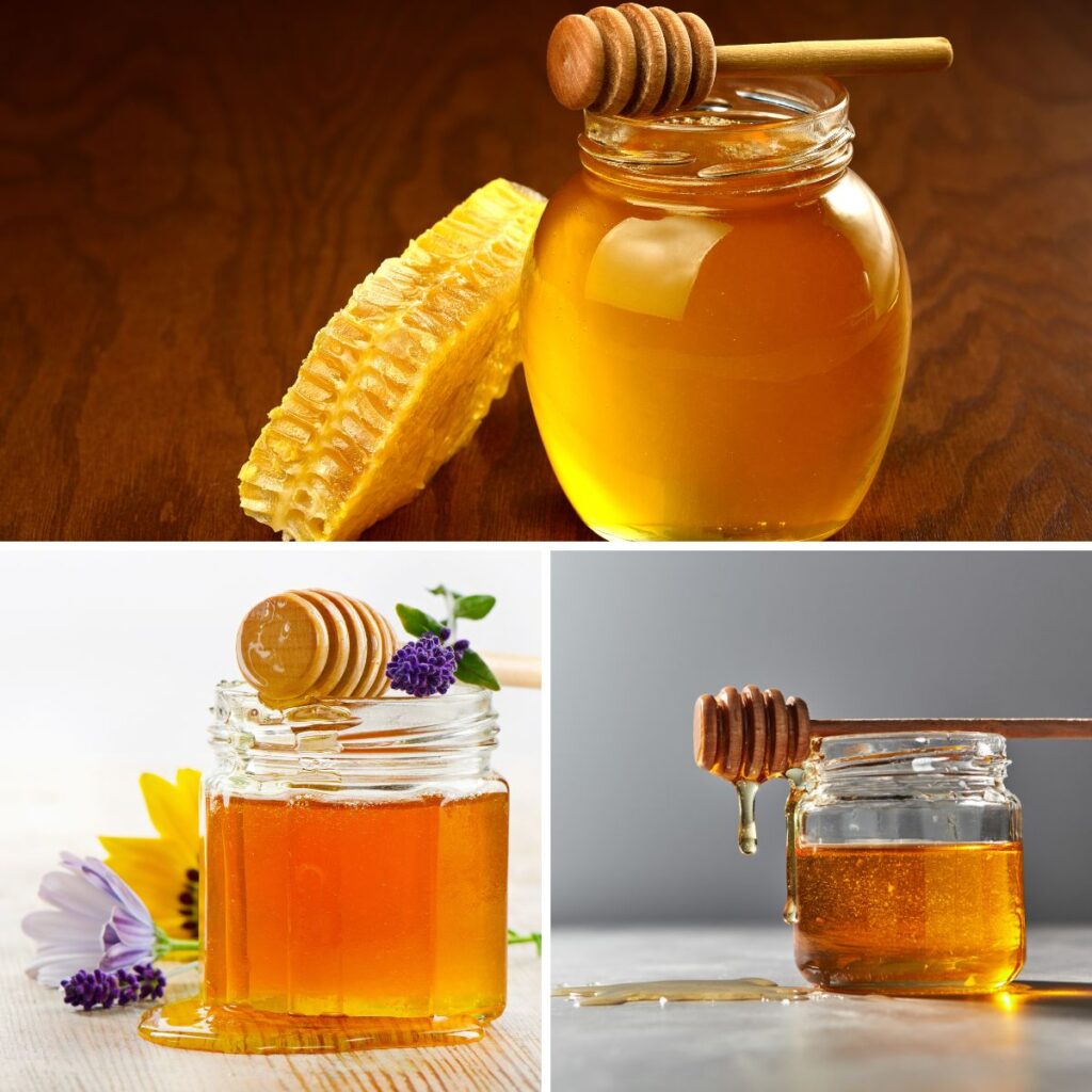 Bottling Honey How to Process Your Crop Carolina Honeybees