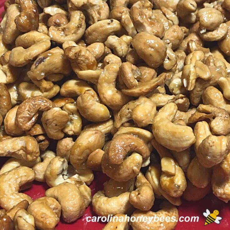 How to Make Honey Roasted Cashews Carolina Honeybees