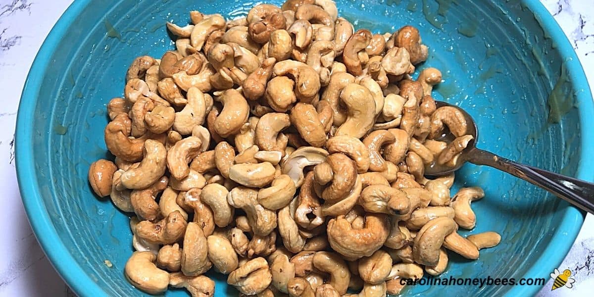 How to Make Honey Roasted Cashews - Carolina Honeybees