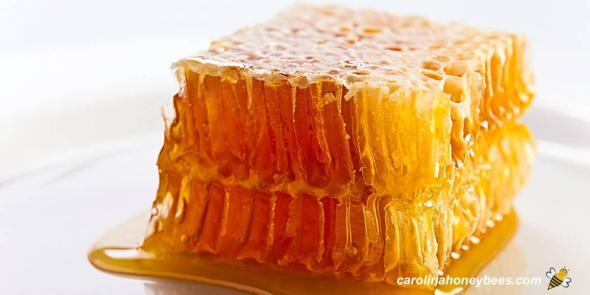 Amazing Ways to Use Honey Carolina Honeybees