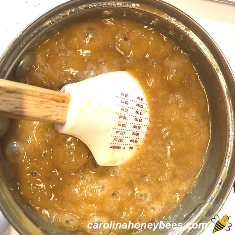 How to Make Turtles Candy {With Honey} Carolina Honeybees