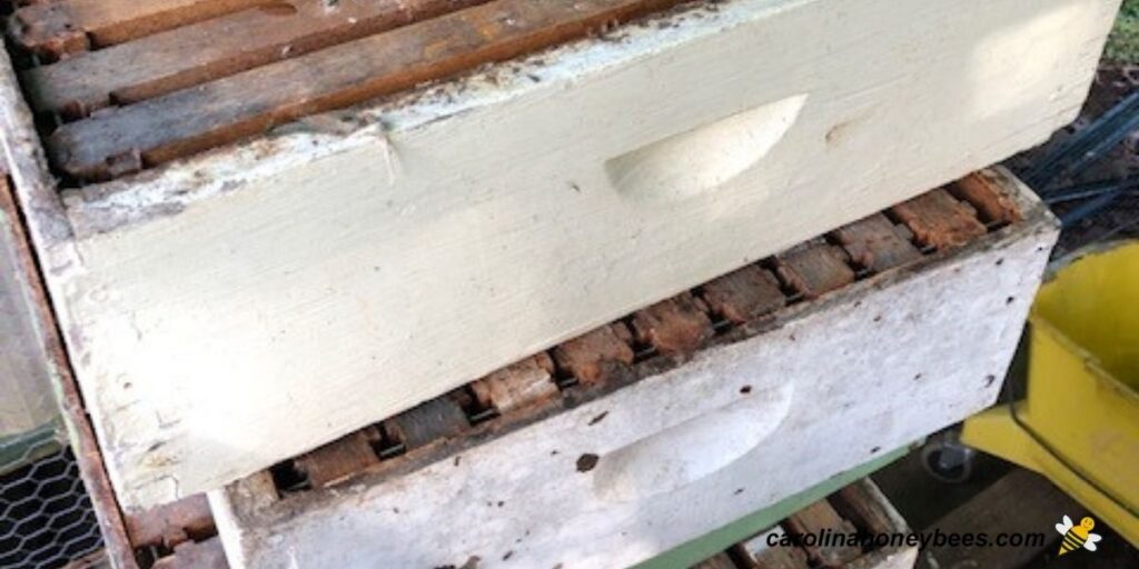 How to Store Honey Supers Over Winter Carolina Honeybees