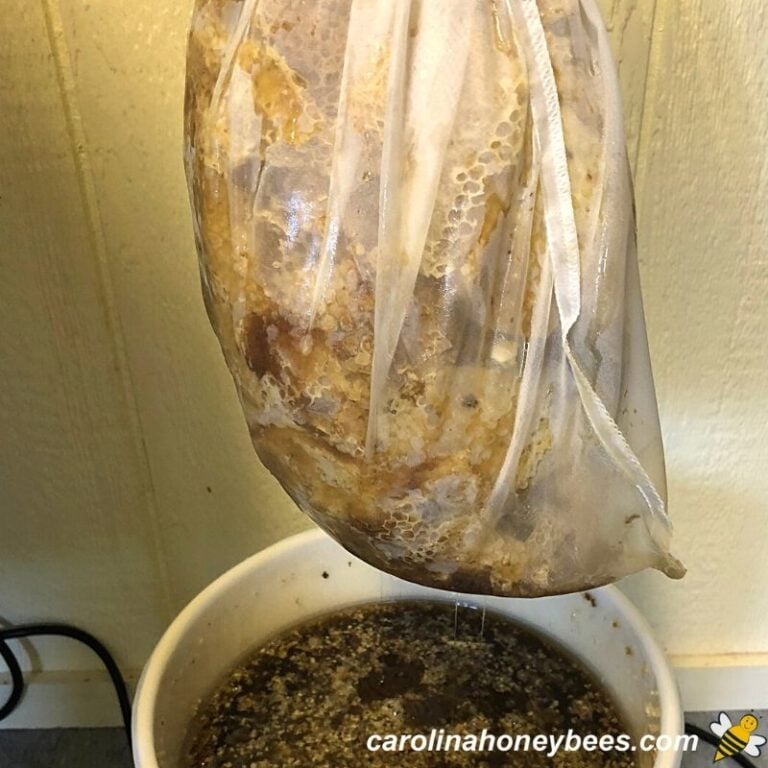 How to Clean Beeswax: Easy Methods - Carolina Honeybees