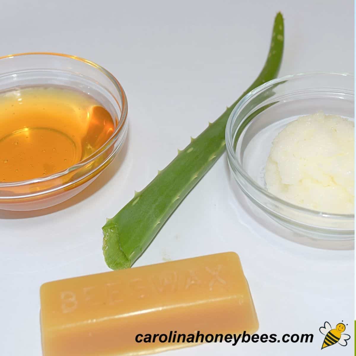 Homemade Aloe Honey Burn Salve