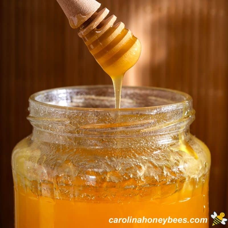 Stored jar of honey that has crystallized to a gritty texture.