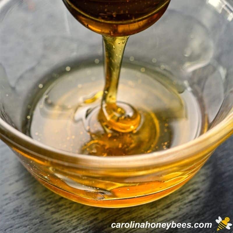 How to Make Creamed Honey Carolina Honeybees