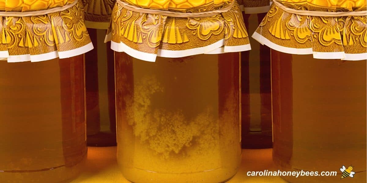 How to Decrystallize Honey - m