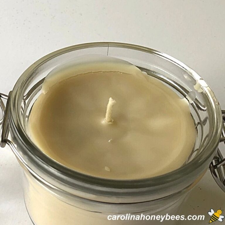 Beeswax Candle Recipe (with Coconut Oil) Carolina Honeybees