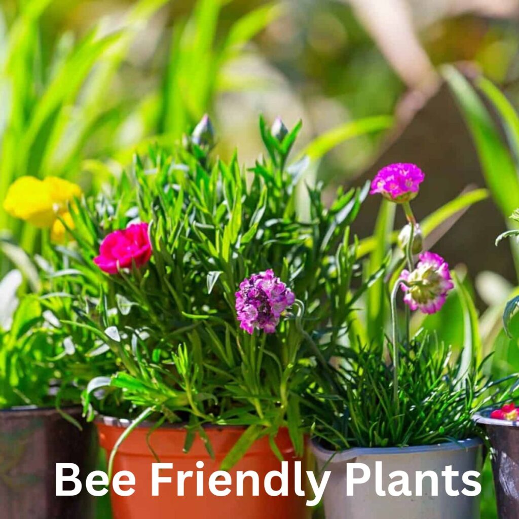 Flowers For Honey Bees [Beginners Guide] Carolina Honeybees