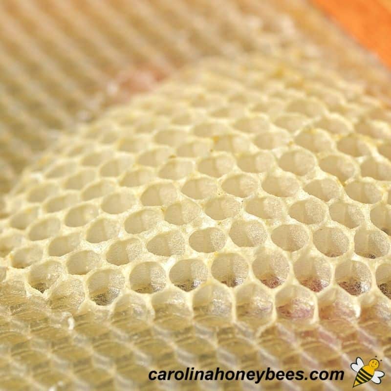 Beeswax Foundation Shee Hive Cell Frame Honeycomb Sheet Natural Beeswax  Sheets