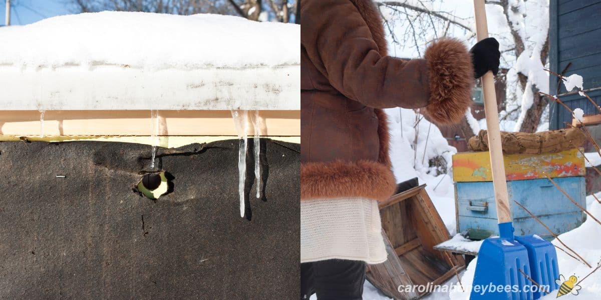 Hive in snow and beekeeper with shovel to clear entrances.