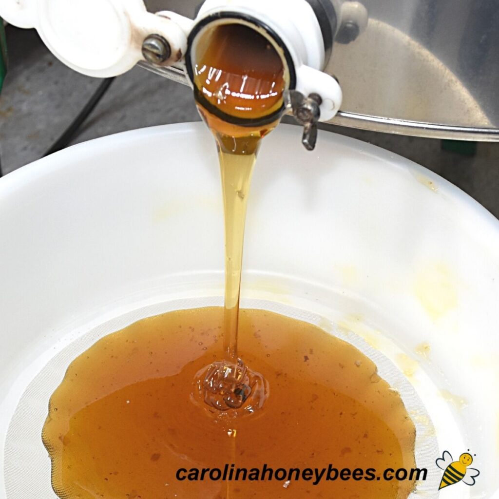 How to Extract Honey Step by Step Guide