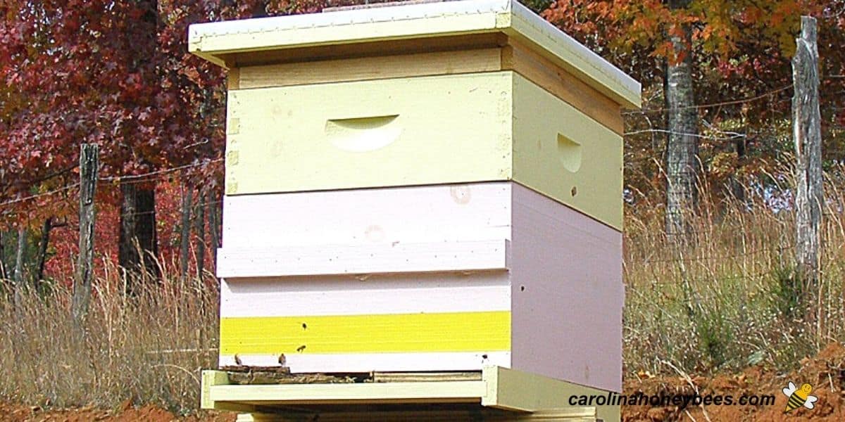 Homemade beehive made using hive plans for bottom image.