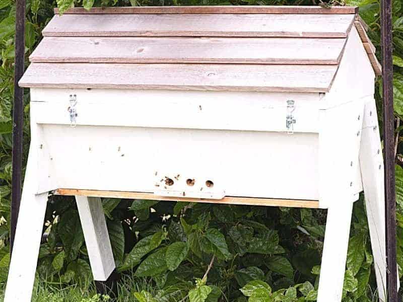 Homemade top bar hive built using hive plans.