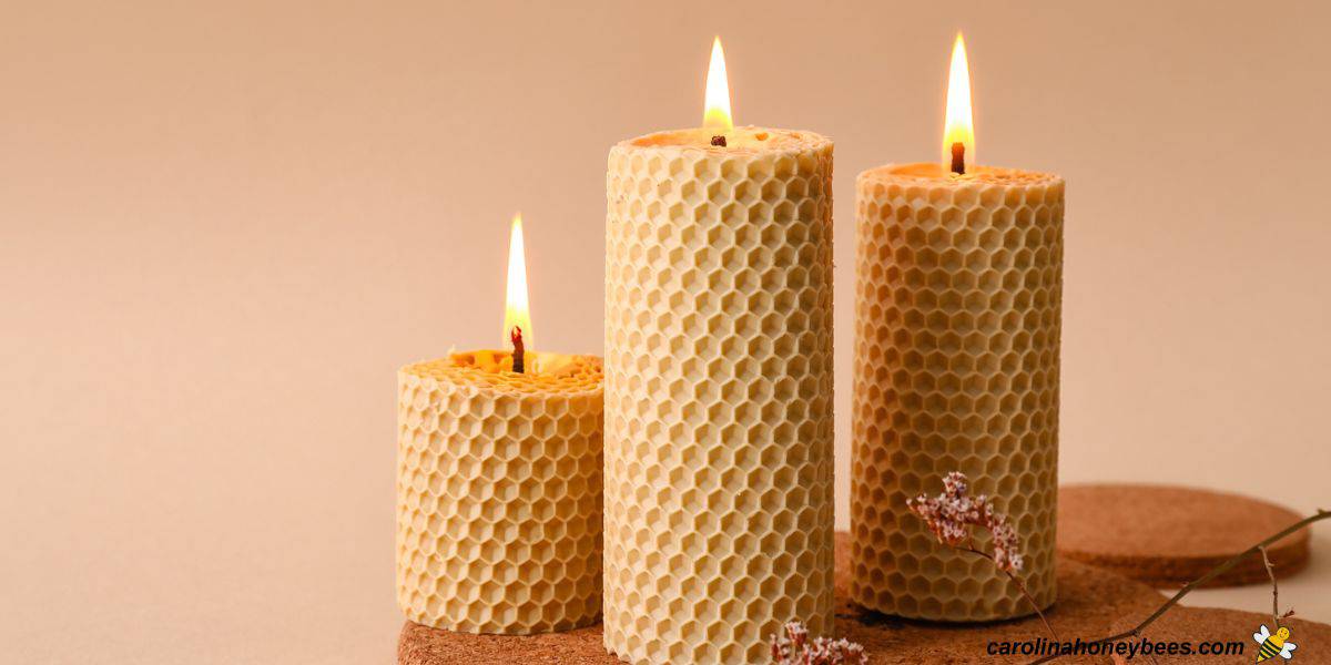 The Benefits of Beeswax Candles Carolina Honeybees