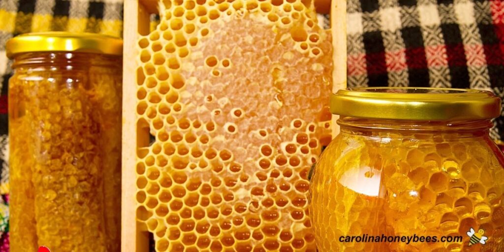 How to Store Carolina Honeybees