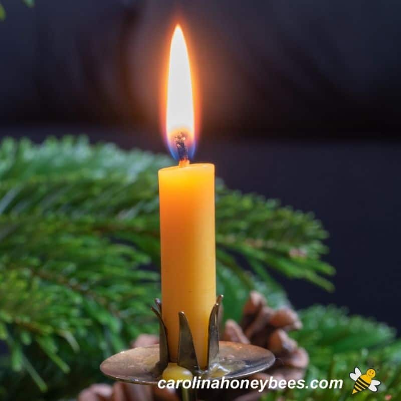 Beeswax candle taper burning in a metal candle holder image.