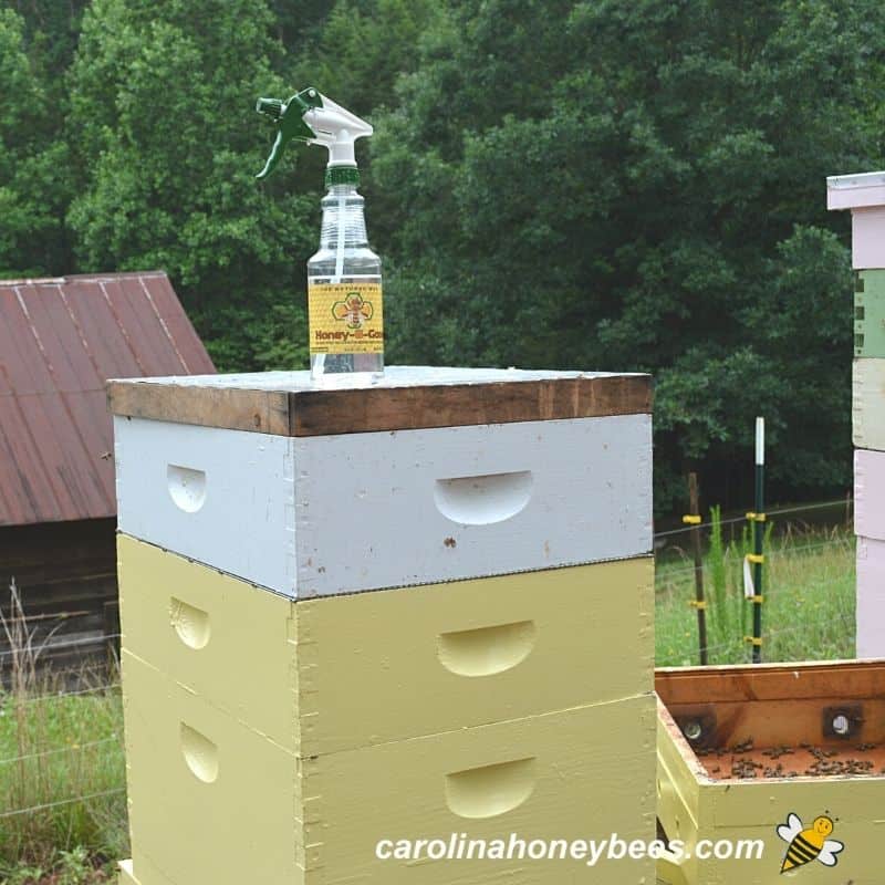 Fume board and bottle of liquid on hive being used to remove bees from super.